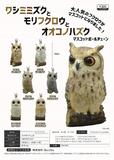 300日元扭蛋 小手办挂件 猫头鹰系列 全6种 (1袋40个)  371459