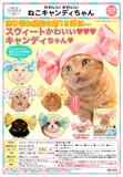 300日元扭蛋 猫猫头巾 糖果Ver. 全6种 179633