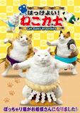 【A】盒蛋 猫猫相扑队员 摆件 全8种 504933