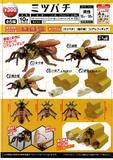 【B】300日元扭蛋 生物模型 蜜蜂 全5种 (1袋40个) 624154