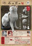 500日元扭蛋 小手办 AIP 森口修的猫 全4种 (1袋30个)  303619