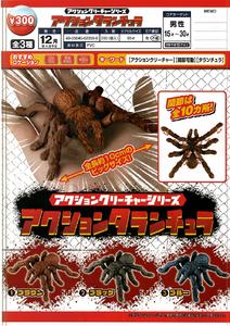 300日元扭蛋 可动模型 狼蛛 全3种 (1袋40个)  620590