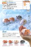 【A】300日元扭蛋 棉花玩偶 软软仓鼠 全4种 (1袋40个) 721796