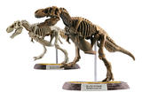 【B】盲盒 生物模型 恐龙猎人 海外版 全10种 606089