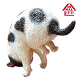 【B】盒蛋 小手办 ANIMAL LIFE 瑜伽猫 全5种 709619