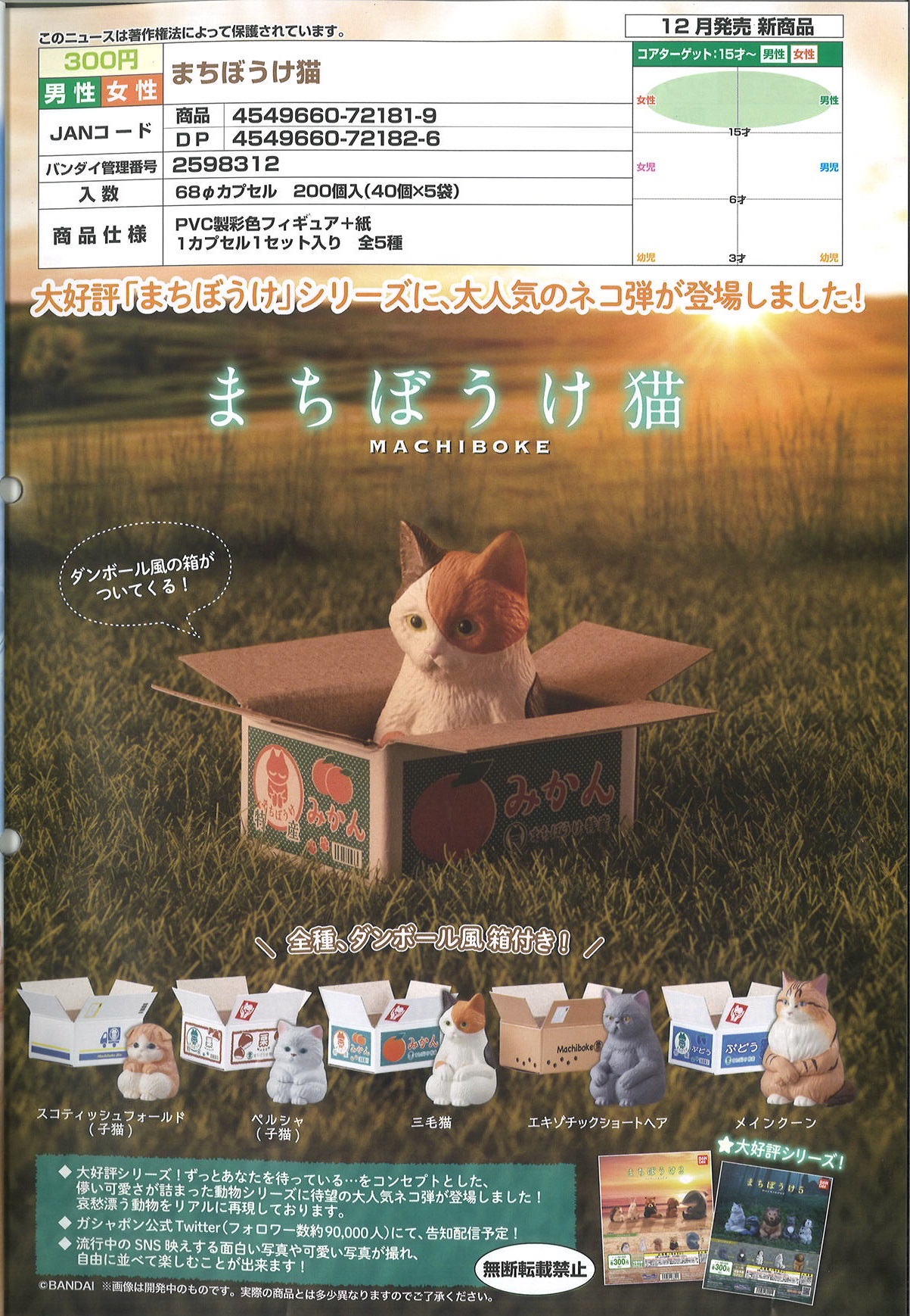 【A】300日元扭蛋 小手办 静坐的猫猫 全5种 (1袋40个) 721819