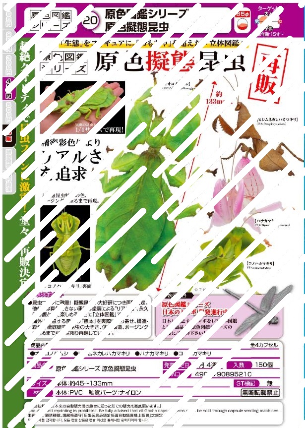 【A】400日元扭蛋 生物模型 原色图鉴系列 原色拟态昆虫 全4种 (1袋30个) 895210