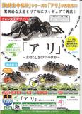200日元扭蛋 再版 生物模型 蚂蚁~美妙的微小世界~ 全5种 749659