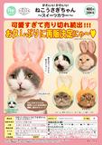 【B】400日元扭蛋 可爱猫猫头巾 小兔子Ver. 全5种 (1袋30个) 307204