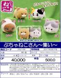 【B】景品 小丑猫~集合~ 玩偶（1套1箱80个） 252156