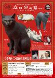 【B】500日元扭蛋 小手办 AIP系列 森口修的猫 第2弹 新色 全4种 (1袋20个) 306986