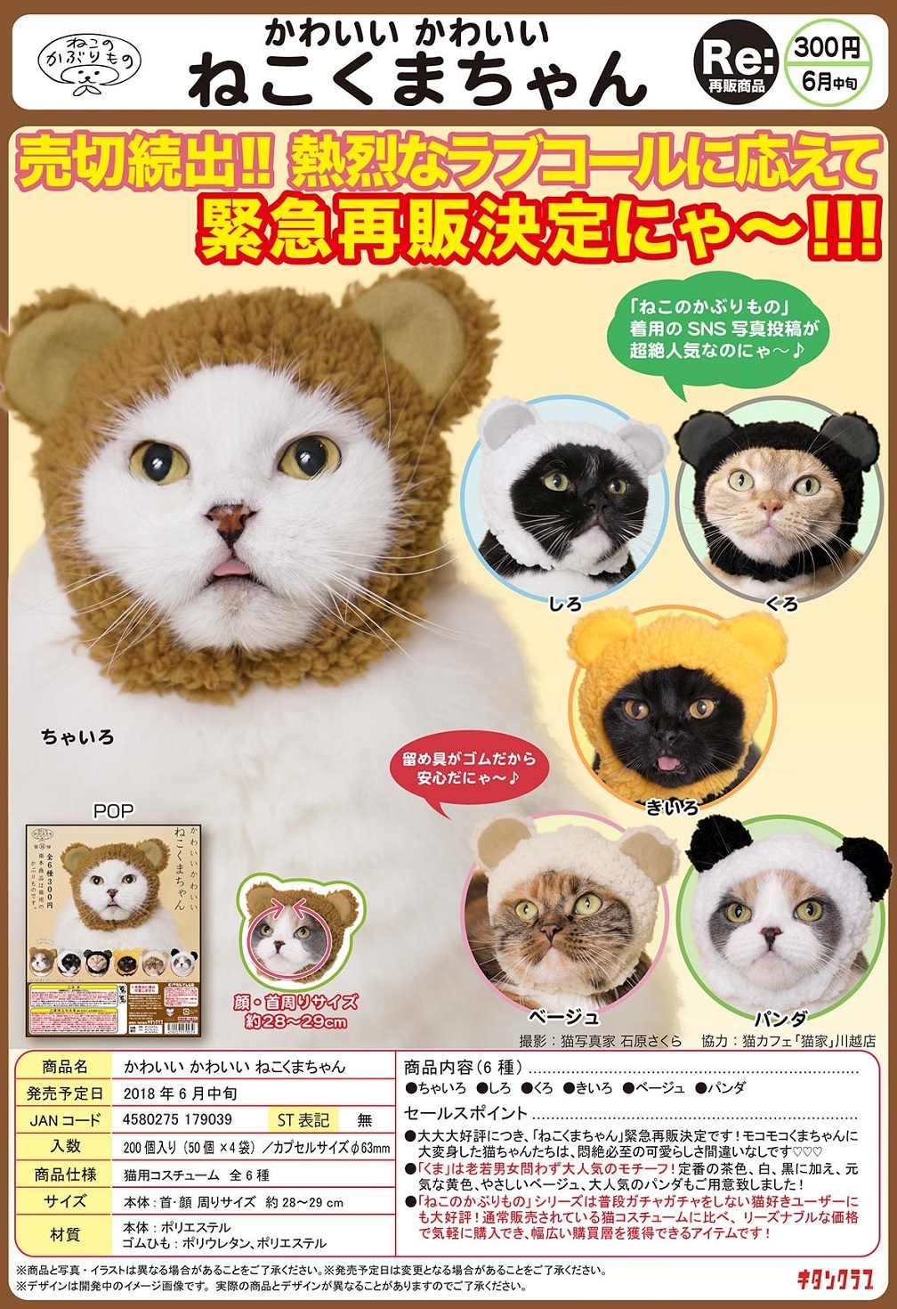 再版 300日元扭蛋 可爱猫猫头巾 小熊Ver. 全6种 179039