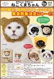 再版 300日元扭蛋 可爱猫猫头巾 小熊Ver. 全6种 179039