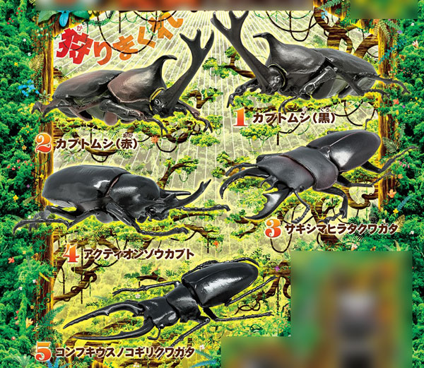【B】食玩 盒蛋 昆虫模型  独角仙×大锹形虫 全5种  603484
