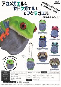 300日元扭蛋 小手办挂件 蛙类图鉴 全6种 (1袋40个) 3711145