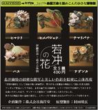 【B】400日元扭蛋 扭蛋Q博物馆 摆件 若冲之花 立体花卉图 全5种 081858