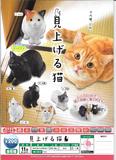 200日元扭蛋 小手办 抬头望着你的猫 全6种 608567