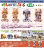 500日元扭蛋 小手办 兽娘动物园 第一弹 全4种 082008