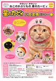 400日元扭蛋 可爱猫猫头巾 星之卡比Ver. 全5种 300526