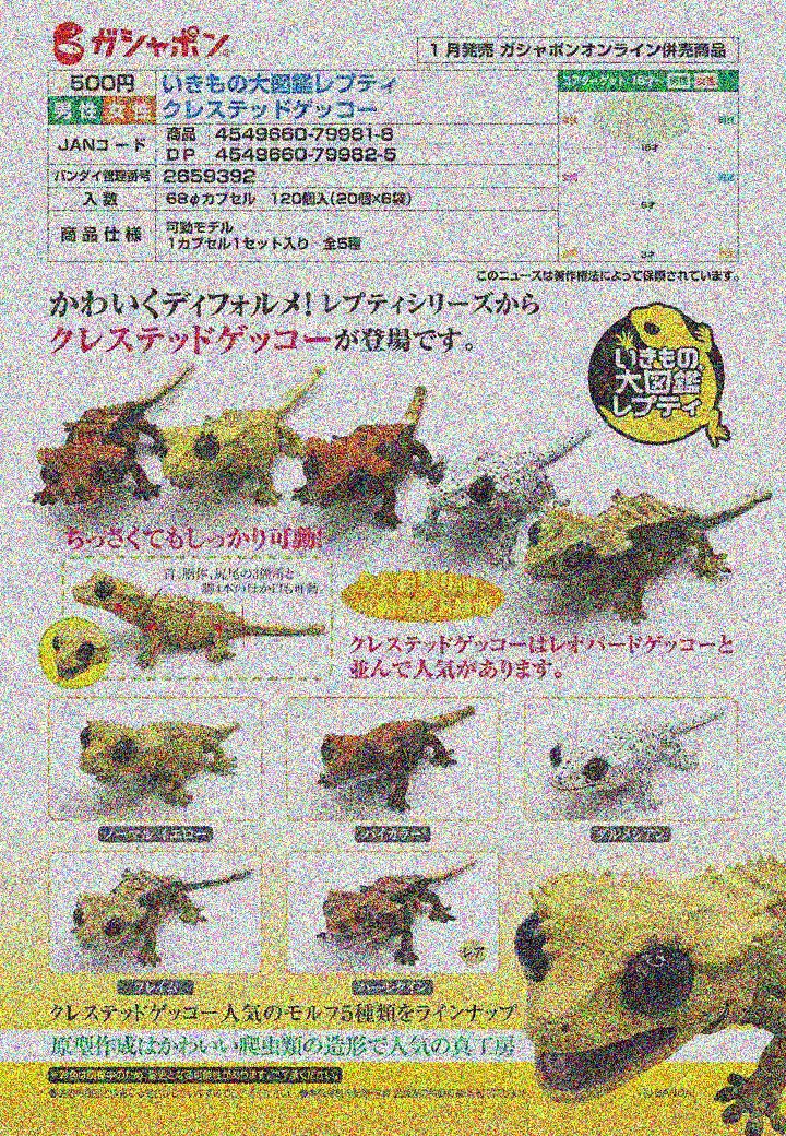 【A】500日元扭蛋 可动小手办 生物大图鉴 小蜥蜴 全5种 (1袋20个)  799818
