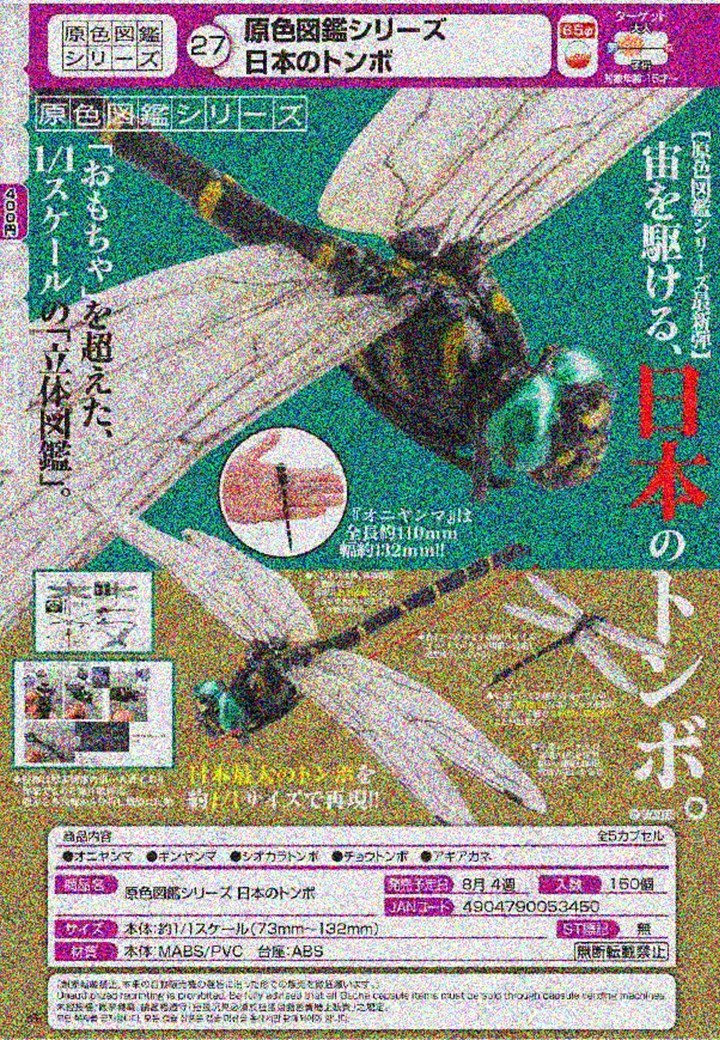 【A】400日元扭蛋 生物模型 原色图鉴系列 日本的蜻蜓 全5种 (1袋30个) 053450