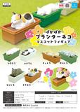 300日元扭蛋 小手办 花盆上的猫 全6种 (1袋40个)  372289
