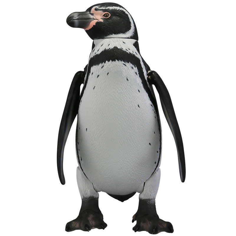 【A】可动生物模型 企鹅系列 洪堡企鹅 003188