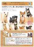 【B】500日元扭蛋 口袋艺术系列 仿真小狗木雕 全5种 (1袋20个) 302650