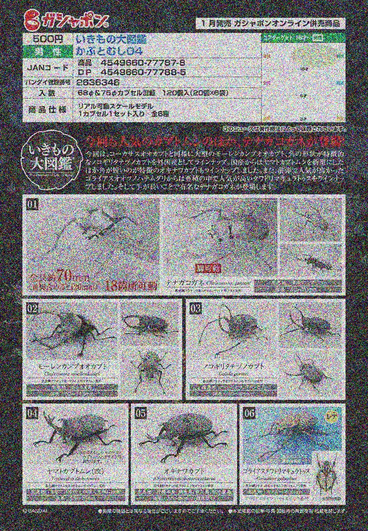 【A】500日元扭蛋 生物模型 生物大图鉴 独角仙 第4弹 全6种 (1袋20个) 777878
