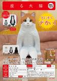 【B】500日元扭蛋 手办 静坐的大猫 全3种 (1袋20个) 304425