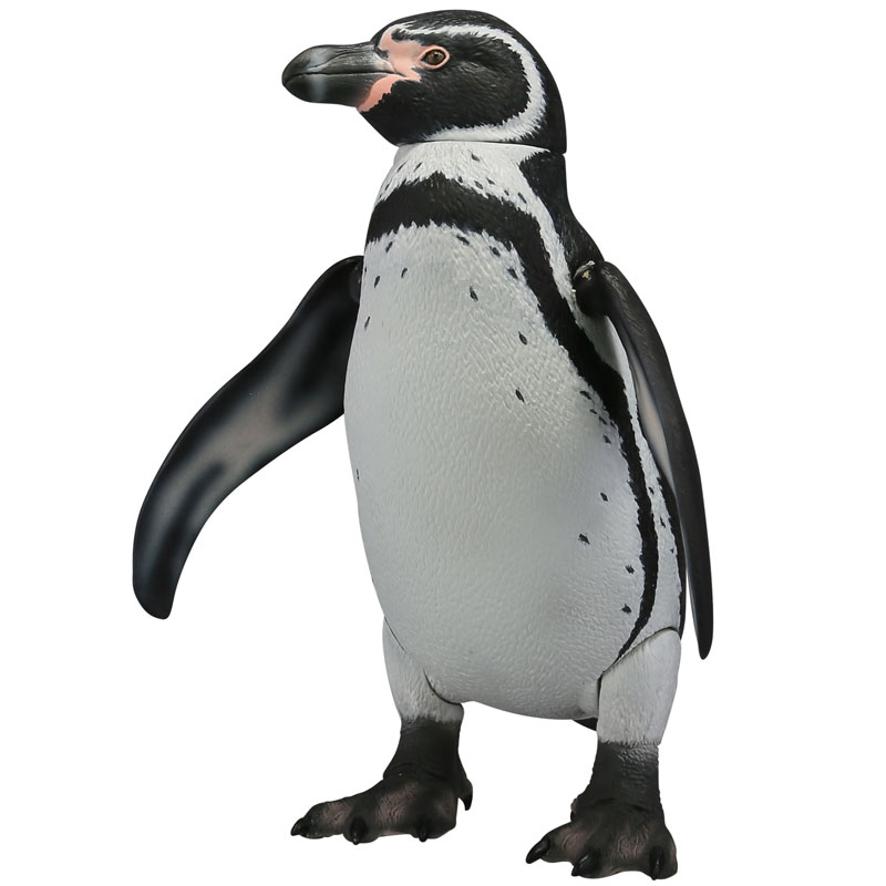 【A】可动生物模型 企鹅系列 洪堡企鹅 003188