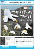【B】300日元扭蛋 小手办 累趴了的鸭子 全5种 (1袋40个) 375150