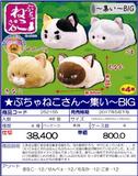 【B】景品 小丑猫~集合~ 玩偶 BIG（1套4箱48个） 252155