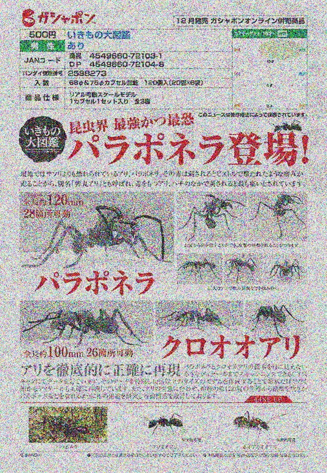 【A】500日元扭蛋 生物模型 生物大图鉴 蚂蚁 全3种 (1袋20个) 721031