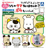 200日元扭蛋 猫狗宠物街 小手办挂件 小狗也一起 全5种  103135