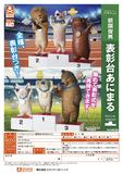 【B】300日元扭蛋 小手办 领奖台上的小动物 全6种 (1袋40个) 712143