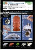 【A】500日元扭蛋 生物模型 西瓜虫 大王具足虫篇 全5种 (1袋20个)  467472