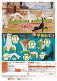 300日元扭蛋 小手办 终日体育 平衡台上的猫 全6种 (1袋40个)  711344