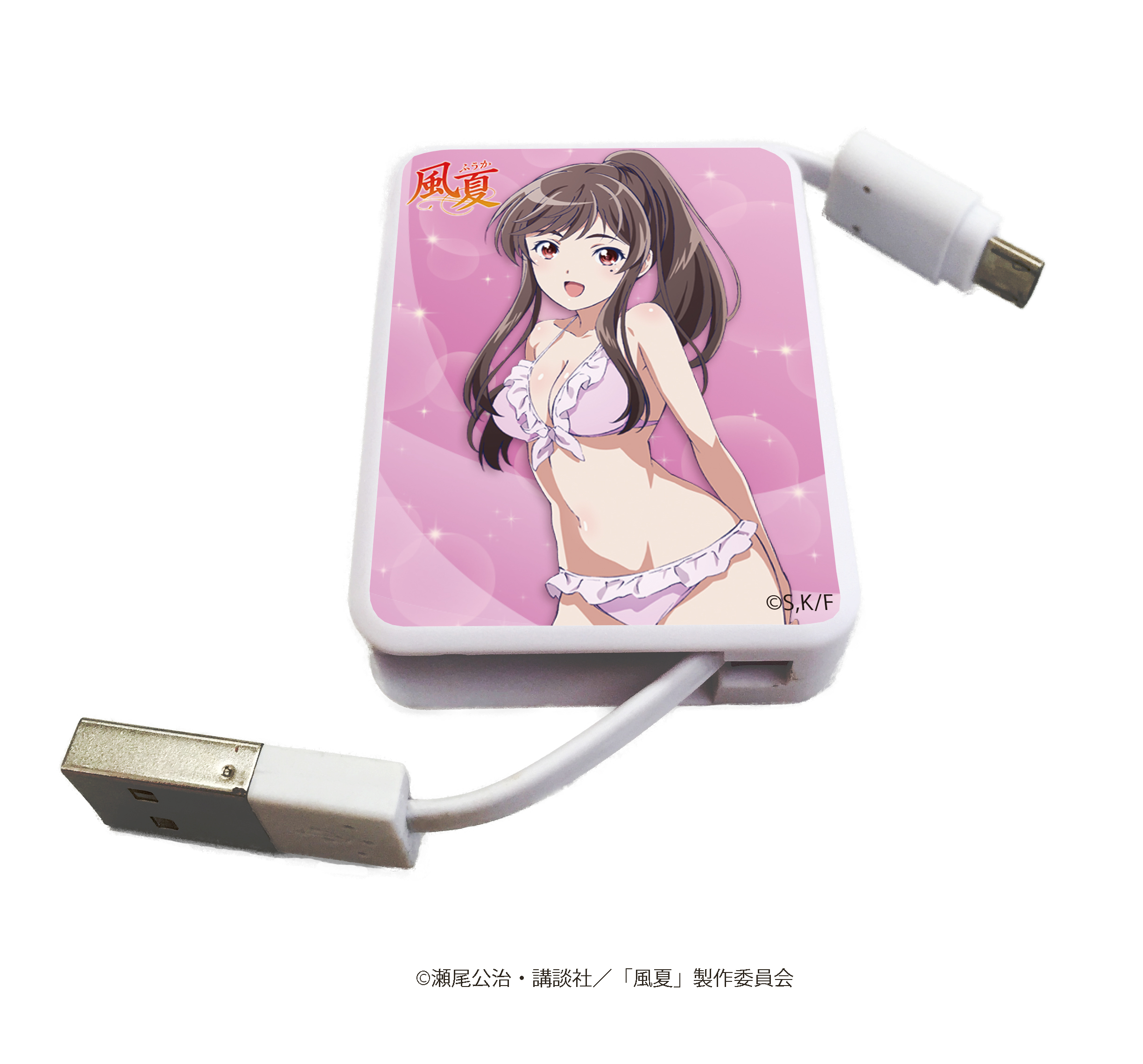 【B】风夏 USB AC电源充电器
