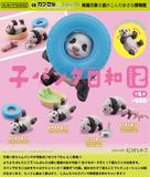 【A】400日元扭蛋 小手办 幼年熊猫的日常 第2弹 茁壮成长篇 全4种 (1袋30个) 083067