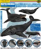 【A】生物模型 鲸 座头鲸 003218