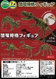 300日元扭蛋 拼装摆件 恐龙骨架 全5种 455319