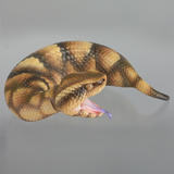 【B】可动生物模型 015A 日本槌蛇 003256