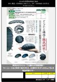 再版 500日元扭蛋 可动手办 西瓜虫 全3种 245773