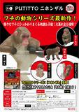 【B】300日元扭蛋 PUTITTO系列 杯边小手办 日本猿猴 全5种 (1袋40个) 304418