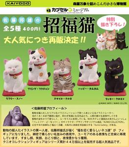 400日元扭蛋 小手办 扭蛋Q博物馆 招福猫 全5种 (1袋30个) 081605