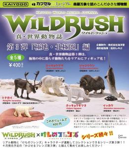 400日元扭蛋 手办 WILD RUSH 真·世界动物志 第3弹 极地·北极篇 全5种 (1袋30个) 082565