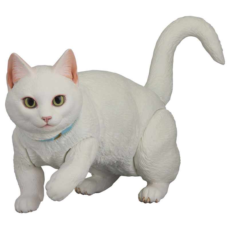 【A】可动手办 SOFUBI TOY BOX 生物模型 曼赤肯猫 白色 003331