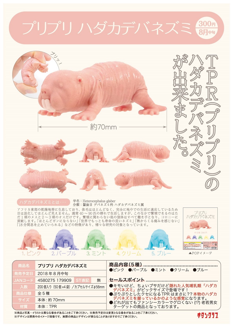 300日元扭蛋 摆件 软软裸鼹鼠 全5种 179909