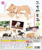 200日元扭蛋 小摆件 休息的柴犬 全5种 (1袋50个) 822461